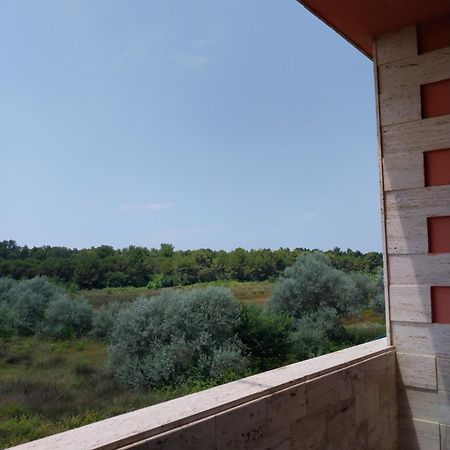 Hotel Different Divjaka Kültér fotó